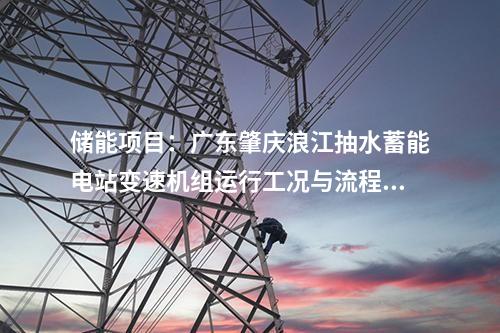 儲(chǔ)能項(xiàng)目：廣東肇慶浪江抽水蓄能電站變速機(jī)組運(yùn)行工況與流程設(shè)計(jì)專題會(huì)議順利召開