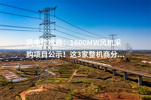 風(fēng)電整機(jī)商：1600MW風(fēng)機(jī)采購項(xiàng)目公示！這3家整機(jī)商分羹