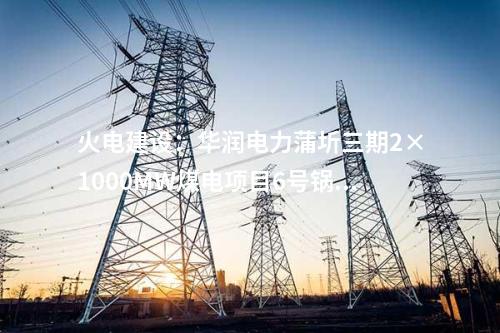 水電建設(shè)：東方電機簽約旭龍水電站全部4臺水輪發(fā)電機及輔助設(shè)備合同