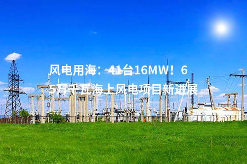 風電用海：41臺16MW！65萬千瓦海上風電項目新進展