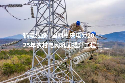 輸電線路 | 國網(wǎng)重慶電力2025年農(nóng)村電網(wǎng)鞏固提升工程可研獲批