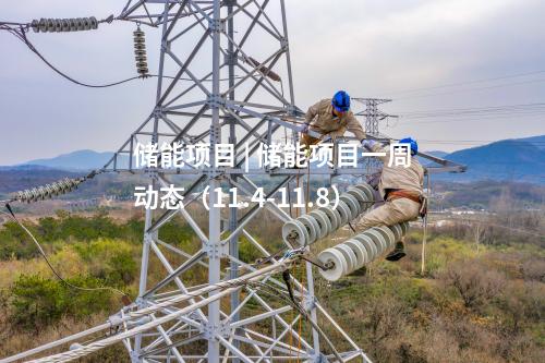 火電建設(shè) | 一周核準(zhǔn)、中標(biāo)、開工火電項目匯總(2024.11.4-11.8)—北極星火力發(fā)電網(wǎng)