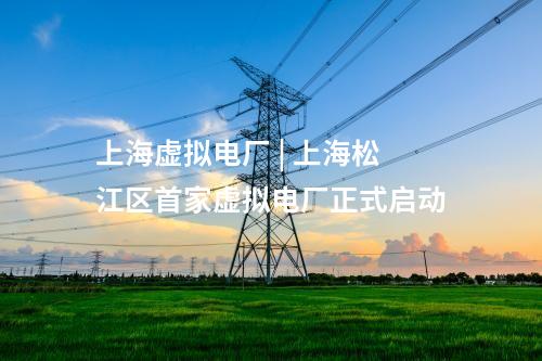 上海虛擬電廠 | 上海松江區(qū)首家虛擬電廠正式啟動