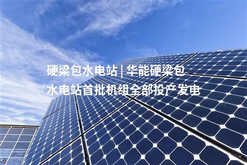 硬梁包水電站 | 華能硬梁包水電站首批機組全部投產(chǎn)發(fā)電