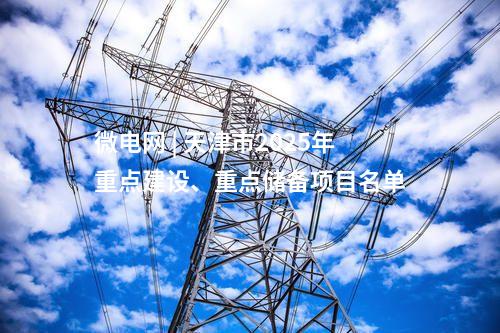 微電網(wǎng) | 天津市2025年重點(diǎn)建設(shè)、重點(diǎn)儲(chǔ)備項(xiàng)目名單