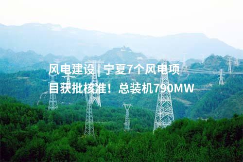 垃圾發(fā)電項目 | 福建德化縣生活垃圾焚燒發(fā)電項目鍋爐低溫烘爐順利點火