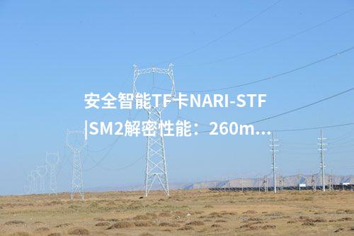 安全智能TF卡NARI-STF|SM2解密性能：260ms/次