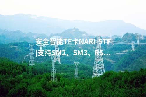 安全智能TF卡NARI-STF|支持SM2、SM3、RSA2048等多種密碼算法