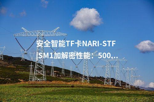 安全智能TF卡NARI-STF|SM1加解密性能：500KB/s