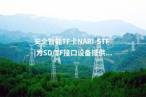 安全智能TF卡NARI-STF|為SD/TF接口設(shè)備提供通用密碼服務(wù)