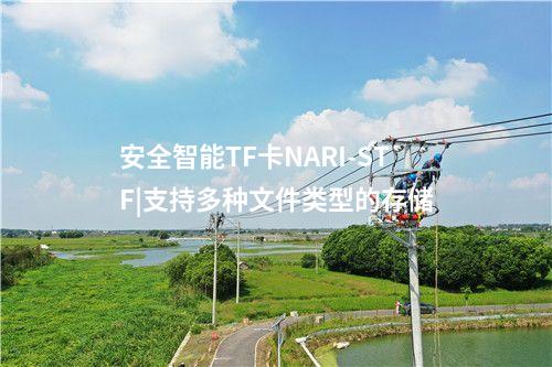 安全智能TF卡NARI-STF|支持多種文件類型的存儲