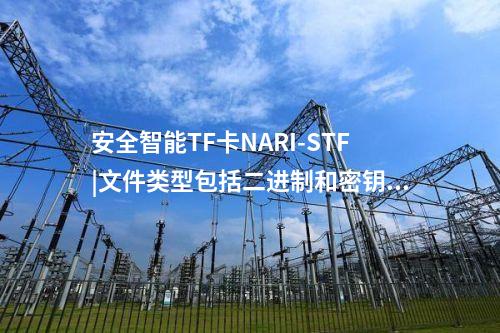 安全智能TF卡NARI-STF|NARI-STF：4GB安全智能TF卡