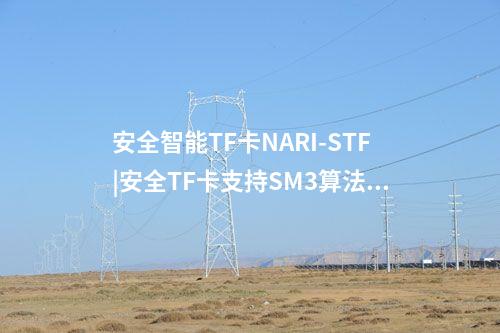 安全智能TF卡NARI-STF|安全TF卡支持SM3算法的數(shù)據(jù)加解密