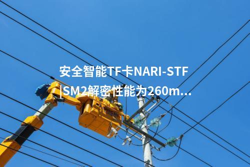 安全智能TF卡NARI-STF|