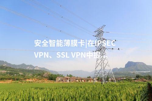 安全智能薄膜卡|在IPSEC VPN、SSL VPN中提供服務(wù)。