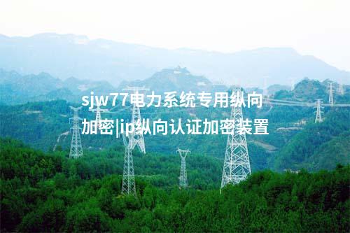 sjw77電力系統(tǒng)專用縱向加密|ip縱向認證加密裝置