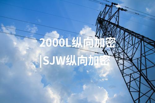 2000L縱向加密|SJW縱向加密