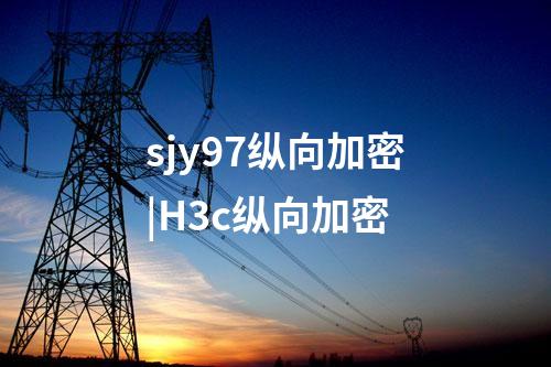 sjy97縱向加密|H3c縱向加密