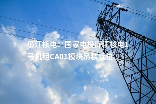 廉江核電：國(guó)家電投廉江核電1號(hào)機(jī)組CA01模塊吊裝就位