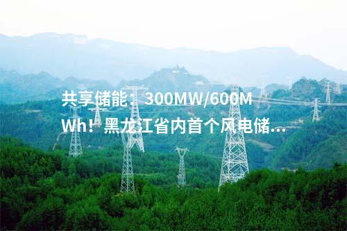 共享儲(chǔ)能：300MW/600MWh！黑龍江省內(nèi)首個(gè)風(fēng)電儲(chǔ)能項(xiàng)目開(kāi)工