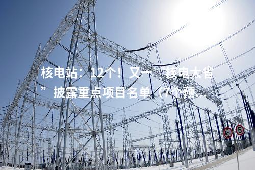 核電站：12個(gè)！又一“核電大省”披露重點(diǎn)項(xiàng)目名單（7個(gè)預(yù)備項(xiàng)目）