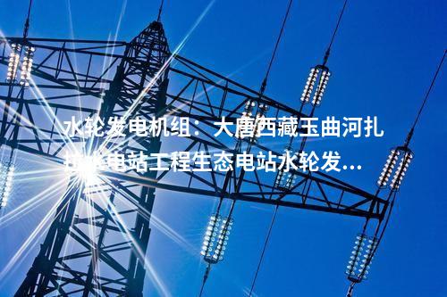 水輪發(fā)電機(jī)組：大唐西藏玉曲河扎拉水電站工程生態(tài)電站水輪發(fā)電機(jī)組及其附屬設(shè)備中標(biāo)公示