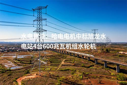 水電建設(shè)：哈電電機(jī)中標(biāo)旭龍水電站4臺(tái)600兆瓦機(jī)組水輪機(jī)